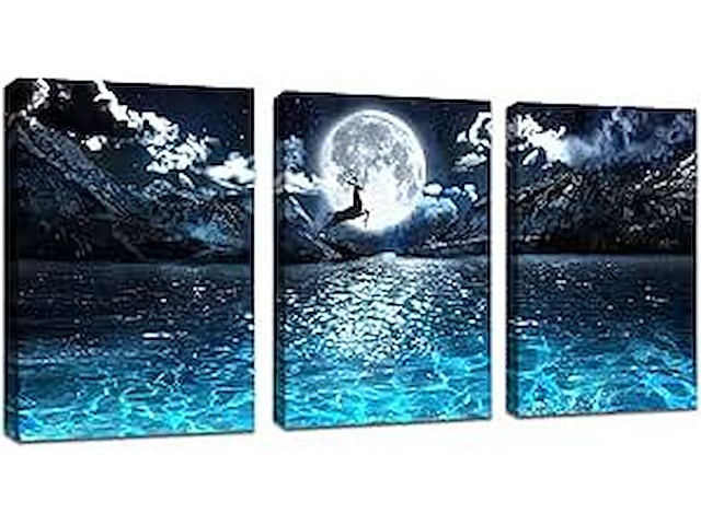 Set v 3 canvasfoto's - afbeelding 1 van  2