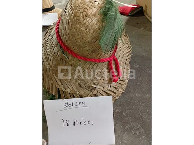 Set van 12 strohoeden - gloednieuwe set van 8 strohoeden - gloednieuw lot van 4 strohoeden - nieuwe partij van 18 strohoeden - nieuwe partij van 16 diverse strohoeden - nieuw - afbeelding 3 van  5