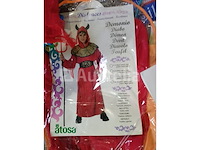 Set van 13 diverse carnavalskostuums - nieuw set van 13 diverse carnavalskostuums - nieuw set van 7 kermispyjamakostuums kinderen - nieuw set van 9 diverse carnavalskostuums - nieuw set van 10 diverse carnavalskostuums - nieuw - afbeelding 27 van  36