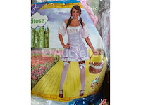 Set van 13 diverse carnavalskostuums - nieuw set van 13 diverse carnavalskostuums - nieuw set van 7 kermispyjamakostuums kinderen - nieuw set van 9 diverse carnavalskostuums - nieuw set van 10 diverse carnavalskostuums - nieuw - afbeelding 31 van  36