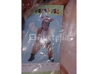 Set van 13 diverse carnavalskostuums - nieuw set van 13 diverse carnavalskostuums - nieuw set van 7 kermispyjamakostuums kinderen - nieuw set van 9 diverse carnavalskostuums - nieuw set van 10 diverse carnavalskostuums - nieuw - afbeelding 32 van  36