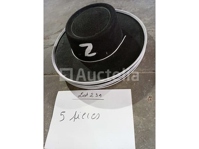 Set van 15 musketiershoeden - nieuw set van 8 musketiershoeden - nieuw set van 14 musketierhoeden - nieuw set van 5 musketiers hoeden - nieuw set van 3 dartagnan hoeden - nieuw set van 5 zorro-hoeden - nieuw - afbeelding 1 van  6