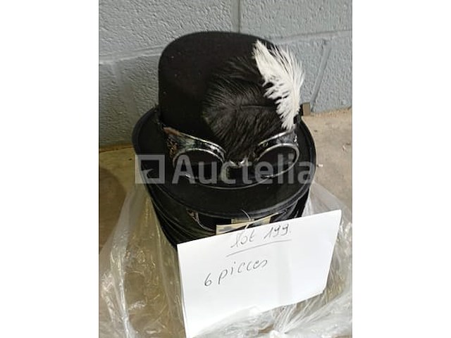 Set van 160 carnavalshoeden of andere - nieuw set van 22 harde kartonnen cowboyhoeden - nieuw set van 11 boerencarnavalshoeden - nieuw set van 7 jester carnival-hoeden - nieuw set van 6 carnavalshoeden - nieuw set van 13 schuimen kermishoeden in verschillende kleuren - nieuw - afbeelding 1 van  6