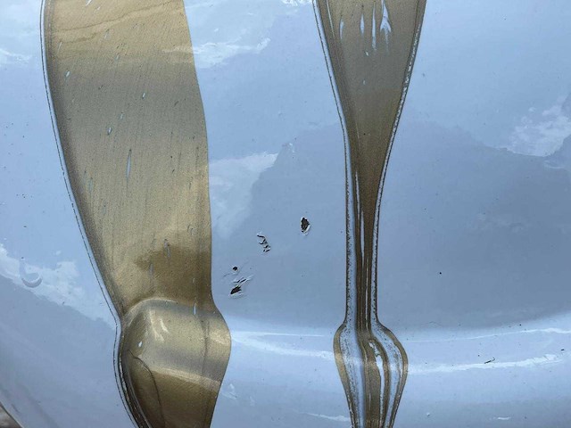 Set van 2 eenden h40cm wit trash goud - afbeelding 1 van  3