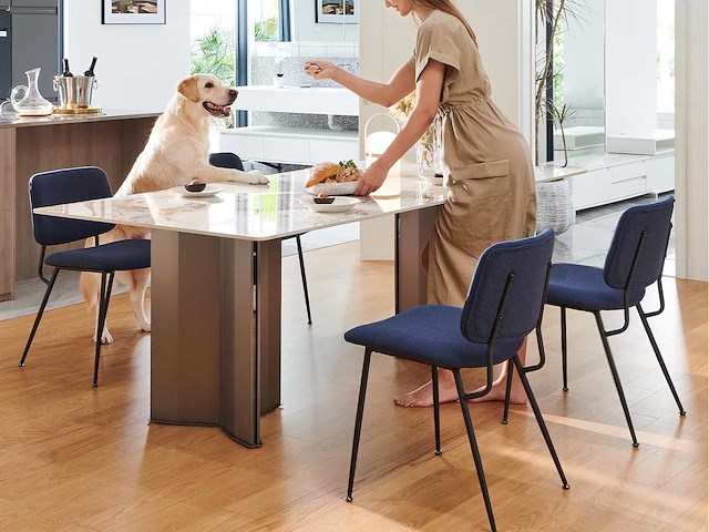 Set van 2 moderne gestoffeerde eetkamerstoelen - afbeelding 1 van  9