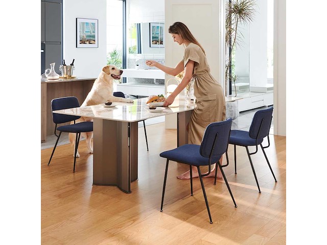 Set van 2 moderne gestoffeerde eetkamerstoelen - afbeelding 2 van  9