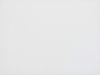 Set van 2 stoelen - imitatie - wit - afbeelding 4 van  5