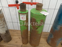 Set van 2 wortels - afbeelding 2 van  2