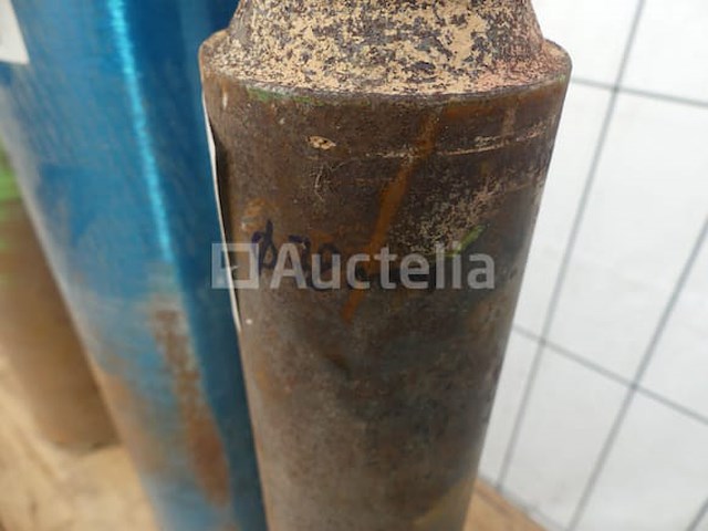 Set van 2 wortels - afbeelding 3 van  6