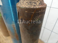 Set van 2 wortels - afbeelding 3 van  6