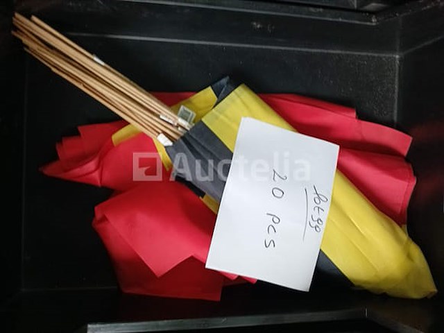 Set van 20 belgische vlaggen 30x50 - nieuw set van 9 grote belgische vlaggen - nieuw op stokken set van 50 voetbalsupportervlaggen verschillende landen - gloednieuw 150x90 set van 6 vlaggen waalse regio - nieuw 150x90 set van 12 geruite vlaggen - nieuw - afbeelding 4 van  6