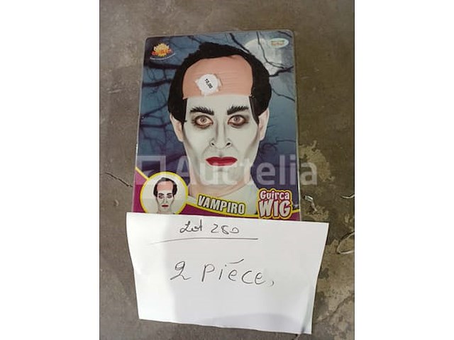 Set van 22 kermispruikensets - nieuwe diverse ontwerpen set van 2 einstein luxe pruikensets - nieuw set van 4 carnavalspruikensets verschillende modellen - nieuw set van 2 vampierpruikensets - nieuw set van 2 father whipper-pruiken - nieuw set van 31 pakjes kerstmanpruiken en baard - nieuw - afbeelding 4 van  6