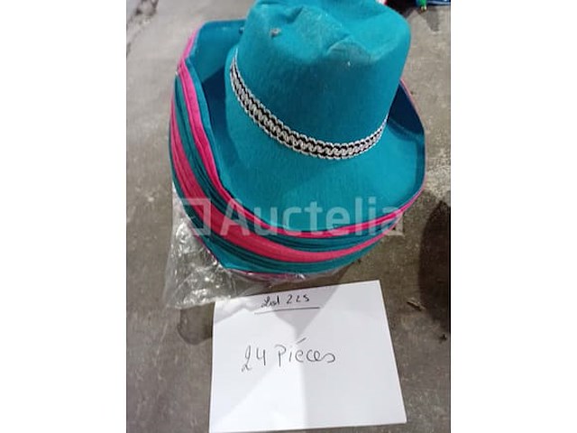 Set van 24 kermishoeden - nieuw set van 11 kermishoeden - nieuw set van 5 kermishoeden - nieuw set van 4 carnavalshoeden - nieuw set van 5 devil carnival hats - nieuw set van 9 carnavalshoeden - nieuw set van 24 verschillende ontwerpen carnavalshoeden - nieuw - afbeelding 2 van  7