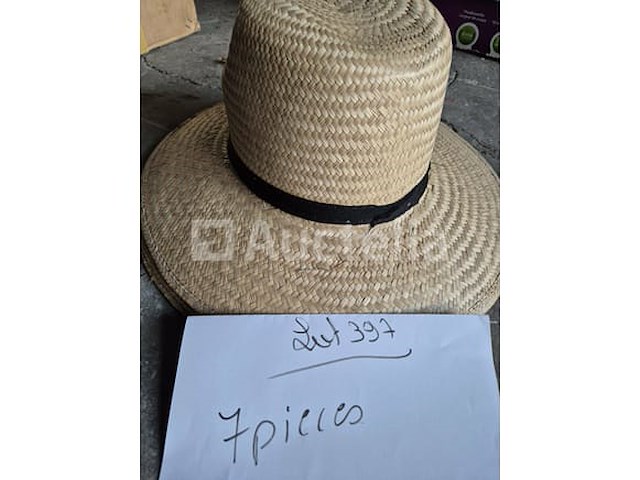 Set van 3 luxe carnavalshoeden - nieuw set van 112 kermishoeden - nieuw set van 7 straw hats - nieuw set van 7 straw hats - nieuw - afbeelding 1 van  4