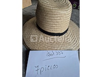 Set van 3 luxe carnavalshoeden - nieuw set van 112 kermishoeden - nieuw set van 7 straw hats - nieuw set van 7 straw hats - nieuw - afbeelding 1 van  4