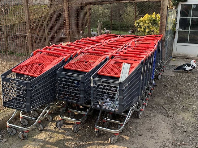 Set van 32 winkelwagens - afbeelding 1 van  6