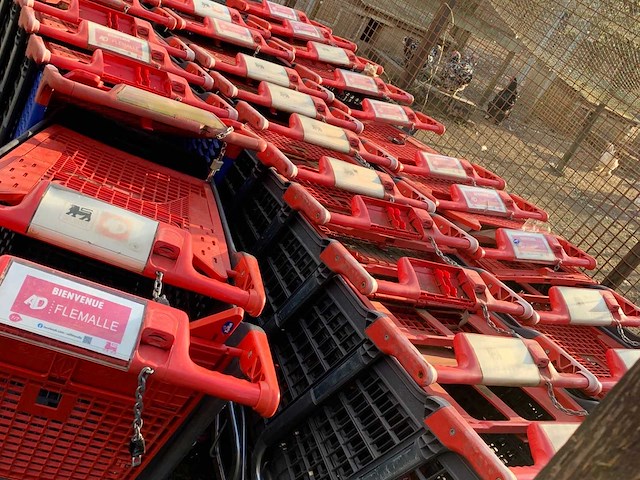 Set van 32 winkelwagens - afbeelding 2 van  6