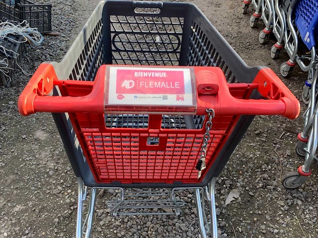 Set van 32 winkelwagens - afbeelding 4 van  6