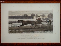 Set van 4 antieke ingekleurde lithografie "lord... - afbeelding 4 van  5