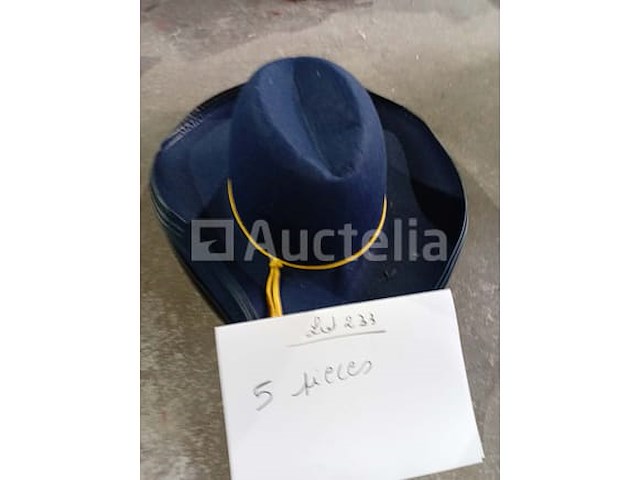 Set van 5 cowboyhoeden - gloednieuw lot van 10 cowboyhoeden - gloednieuw set van 6 cowboyhoeden - gloednieuw lot van 5 cowboyhoeden - nieuwe lot van 5 cowboyhoeden - gloednieuw lot van 9 cowboyhoeden - nieuwe lot van 9 cowboyhoeden - nieuw lot van 9 cowboyhoeden - nieuw set van 15 cowboyhoeden - nieuw - afbeelding 1 van  7