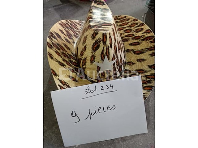 Set van 5 cowboyhoeden - gloednieuw lot van 10 cowboyhoeden - gloednieuw set van 6 cowboyhoeden - gloednieuw lot van 5 cowboyhoeden - nieuwe lot van 5 cowboyhoeden - gloednieuw lot van 9 cowboyhoeden - nieuwe lot van 9 cowboyhoeden - nieuw lot van 9 cowboyhoeden - nieuw set van 15 cowboyhoeden - nieuw - afbeelding 5 van  7