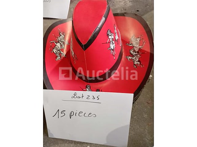 Set van 5 cowboyhoeden - gloednieuw lot van 10 cowboyhoeden - gloednieuw set van 6 cowboyhoeden - gloednieuw lot van 5 cowboyhoeden - nieuwe lot van 5 cowboyhoeden - gloednieuw lot van 9 cowboyhoeden - nieuwe lot van 9 cowboyhoeden - nieuw lot van 9 cowboyhoeden - nieuw set van 15 cowboyhoeden - nieuw - afbeelding 6 van  7