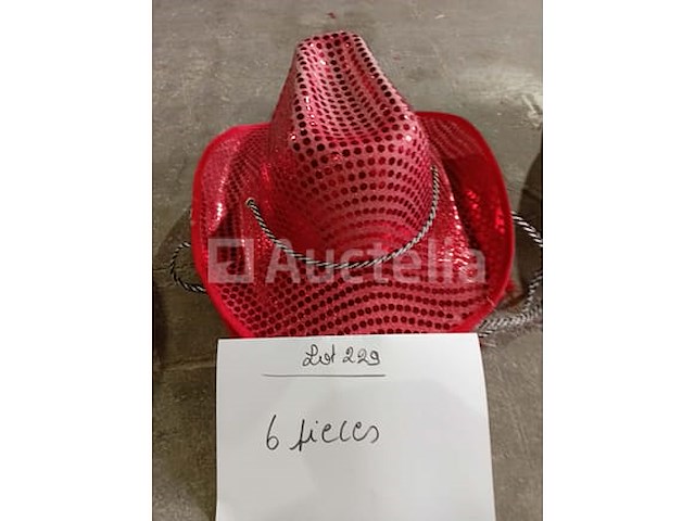 Set van 5 cowboyhoeden - gloednieuw lot van 10 cowboyhoeden - gloednieuw set van 6 cowboyhoeden - gloednieuw lot van 5 cowboyhoeden - nieuwe lot van 5 cowboyhoeden - gloednieuw lot van 9 cowboyhoeden - nieuwe lot van 9 cowboyhoeden - nieuw lot van 9 cowboyhoeden - nieuw set van 15 cowboyhoeden - nieuw - afbeelding 7 van  7