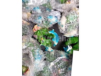 Set van 504 beschermende maskers - nieuw set van 26 mappen - nieuw set van 142 decoratieve items, doe-het-zelf, kleuren enzovoort - nieuw partij 38 deco dolphin - nieuw lot van 41 diverse verkoopartikelen - nieuw lot van 33 stukken - nieuw set van 38 diverse mobiele telefoonhoesjes - nieuw set van 10 pakjes van 25 jumbo rietjes - nieuw - afbeelding 4 van  10