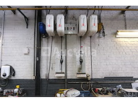 Set van 6 samoa muur slangrollen - afbeelding 2 van  9