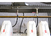 Set van 6 samoa muur slangrollen - afbeelding 4 van  11