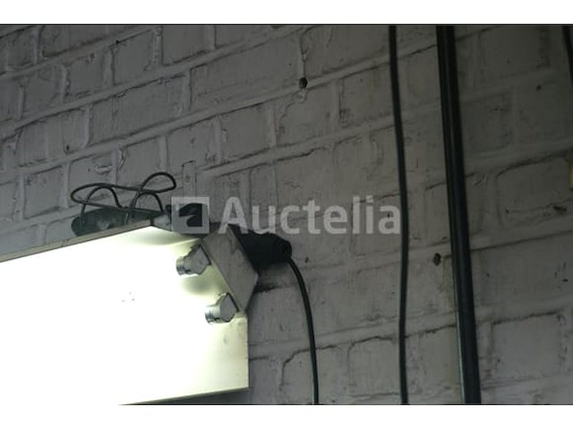 Set van 6 samoa muur slangrollen - afbeelding 6 van  11