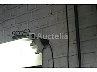 Set van 6 samoa muur slangrollen - afbeelding 8 van  11