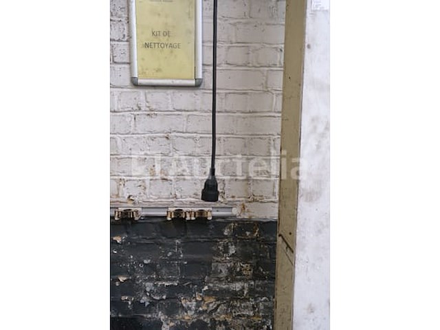 Set van 6 samoa muur slangrollen - afbeelding 10 van  11