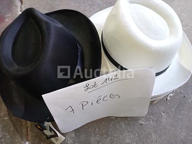 Set van 7 borsalino-hoeden - nieuw set van 3 st. patrick's day-hoeden set van 34 diverse carnavalshoeden - nieuw set van 21 diverse carnavalshoeden - nieuw set van 23 diverse carnavalshoeden - afbeelding 5 van  5