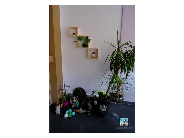 Set van decoraties - afbeelding 1 van  12