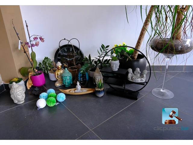 Set van decoraties - afbeelding 5 van  12