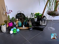 Set van decoraties - afbeelding 5 van  12