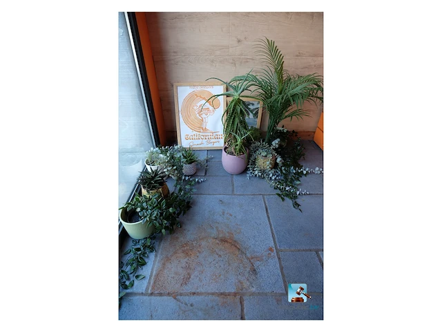 Set van decoraties - afbeelding 1 van  11