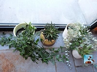Set van decoraties - afbeelding 4 van  11
