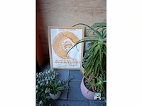 Set van decoraties - afbeelding 5 van  11