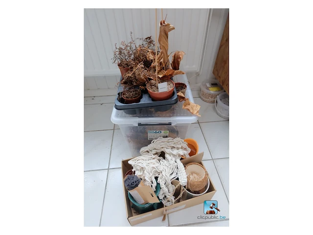 Set van decoraties - afbeelding 16 van  35
