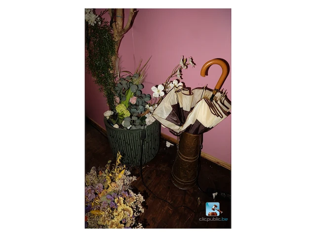 Set van decoratieve elementen - afbeelding 3 van  10