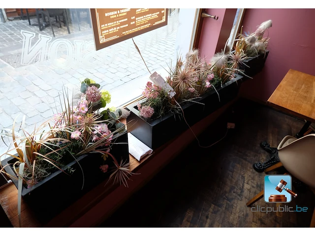 Set van decoratieve elementen - afbeelding 5 van  10