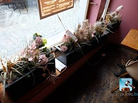 Set van decoratieve elementen - afbeelding 5 van  10