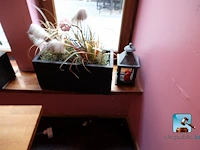 Set van decoratieve elementen - afbeelding 6 van  10