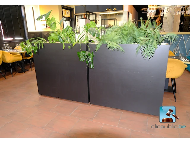 Set van plantenbakken - afbeelding 1 van  6