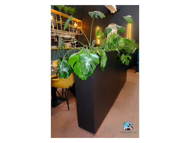 Set van plantenbakken - afbeelding 3 van  6