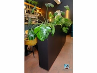 Set van plantenbakken - afbeelding 3 van  6