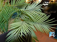 Set van plantenbakken - afbeelding 5 van  6
