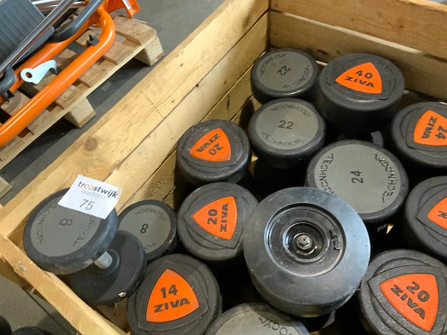 Several mistery box dumbbells krachtstation - afbeelding 3 van  7